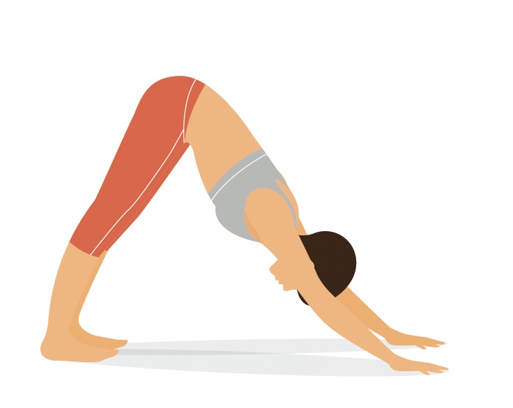 Scopri lo yoga per principianti con il nostro corso