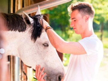 MASTER IN ISTRUTTORE DI IPPOTERAPIA + ESPERTO IN ABILITÀ COMUNICATIVE IN PERSONE CON DISABILITÀ - DOPPIO TITOLO -