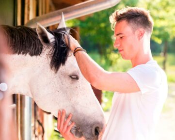 MASTER IN ISTRUTTORE DI IPPOTERAPIA + ESPERTO IN ABILITÀ COMUNICATIVE IN PERSONE CON DISABILITÀ - DOPPIO TITOLO -