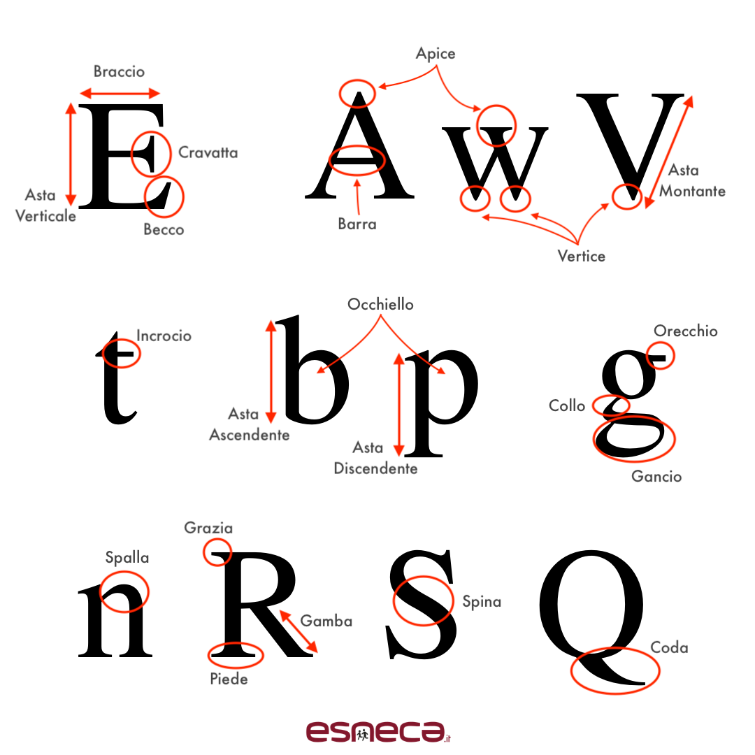 anatomia caratteri tipografici