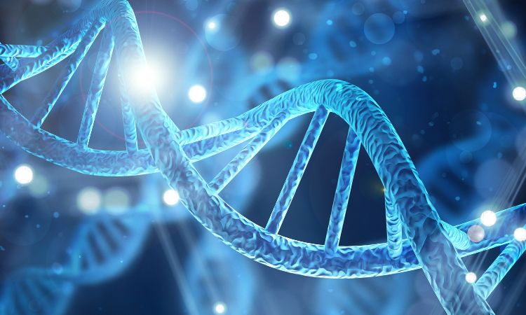 Biologia molecolare: che cos’è e dove si utilizza?