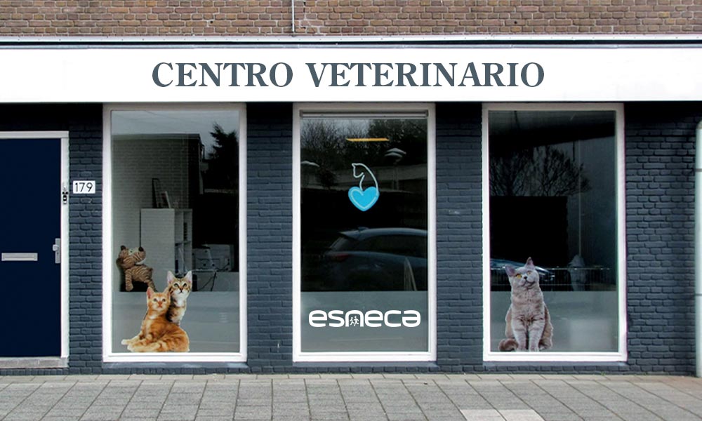 Tipologie di centro veterinario