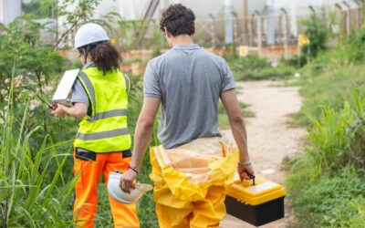 Che cos’è la gestione ambientale e in che cosa consiste?