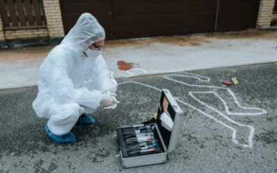 Criminologia ambientale: cos’è e come si applica nella prevenzione del crimine