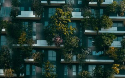 Il Design Ecologico: un approccio sostenibile alla creatività