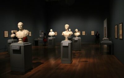 Cos’è la museologia e a cosa serve?