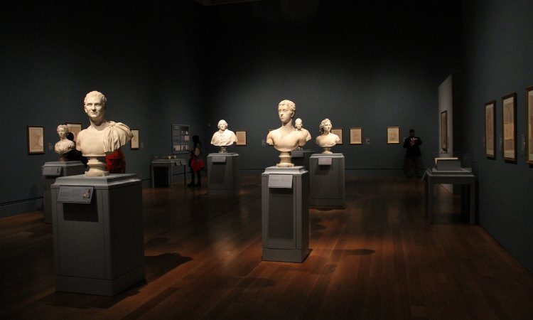 Cos’è la museologia e a cosa serve?