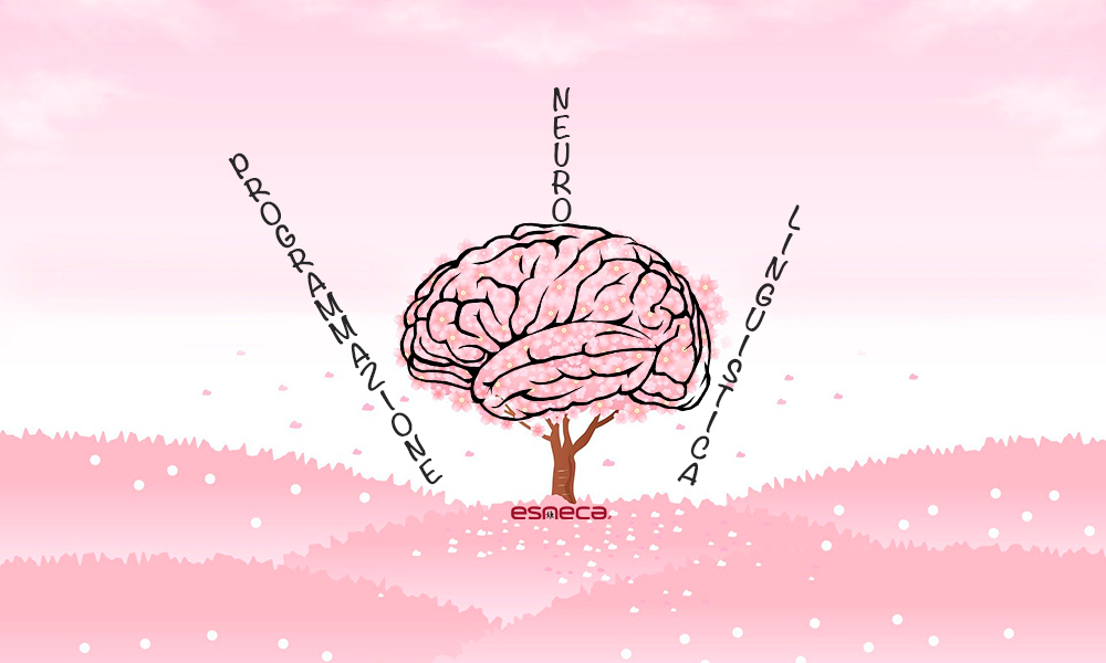 Guida alla Programmazione Neuro Linguistica