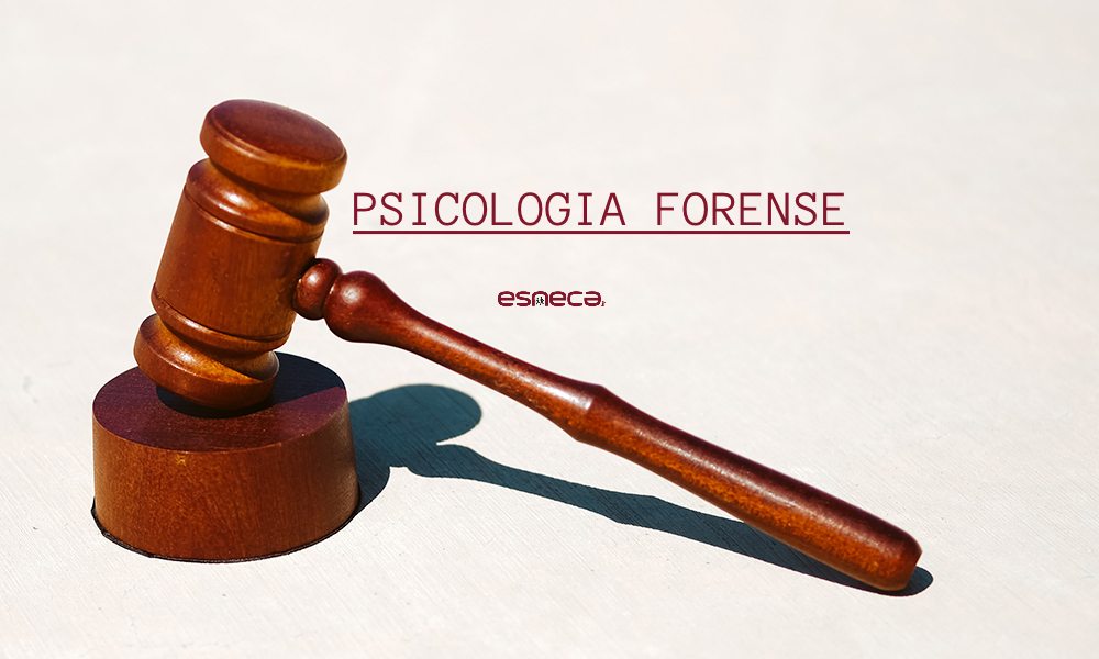 Cosa tratta la Psicologia Forense?