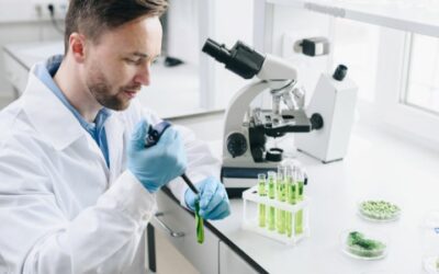 Perché studiare bioetica può trasformare il tuo futuro professionale?