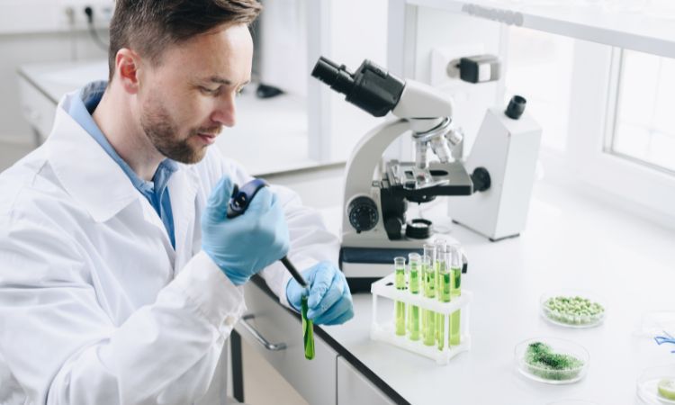 Perché studiare bioetica può trasformare il tuo futuro professionale?
